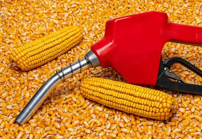 red ethanol gas pump over pile of corn with corn cobs